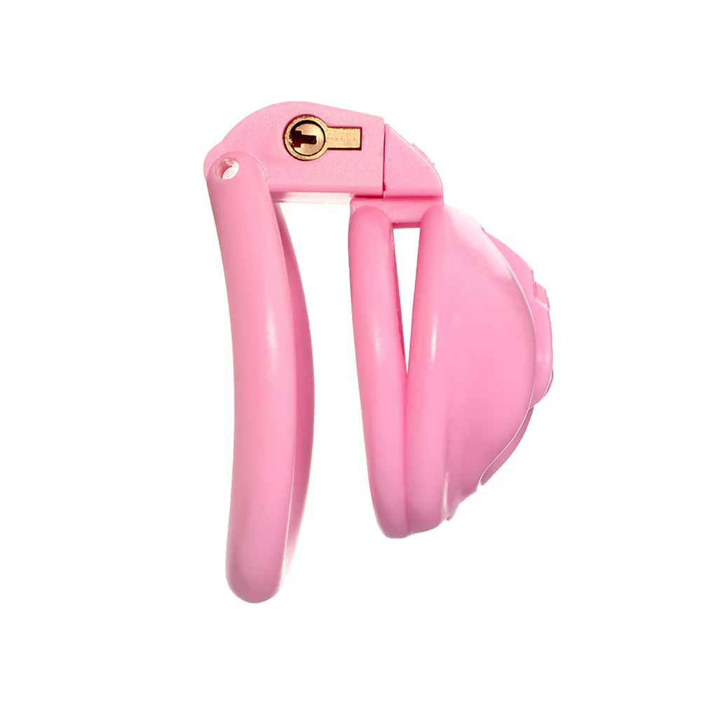 Sissy Labia Chastity Cage - Image 4