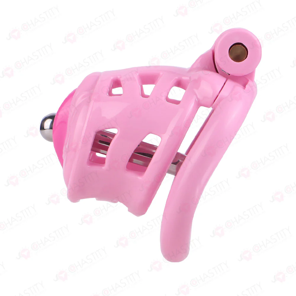Sissy Manhood Caught In Chastity (Vulva Shape) - Image 2