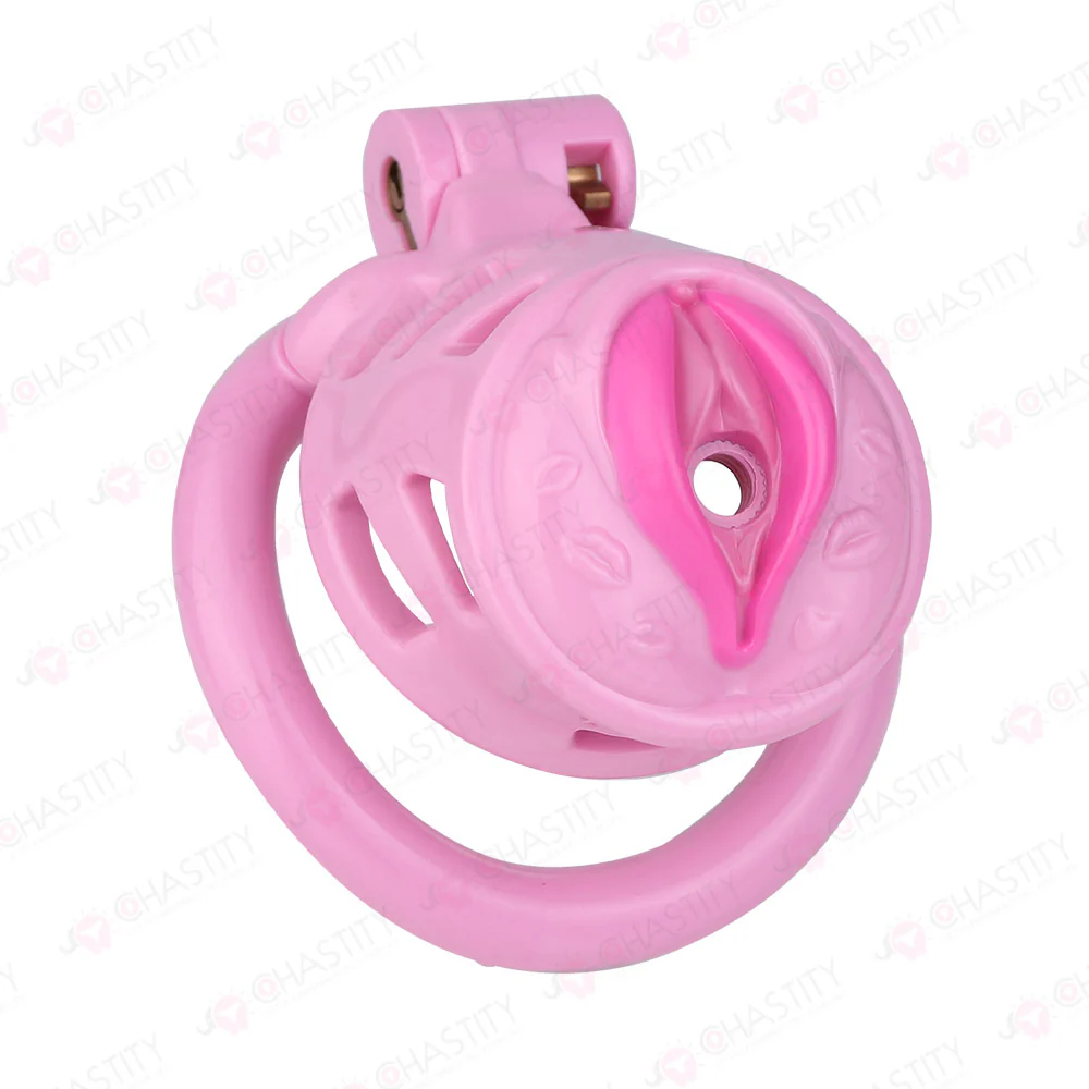 Sissy Manhood Caught In Chastity (Vulva Shape) - Image 8