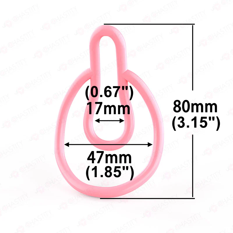 Sissy Pussy Clip Device - Image 3