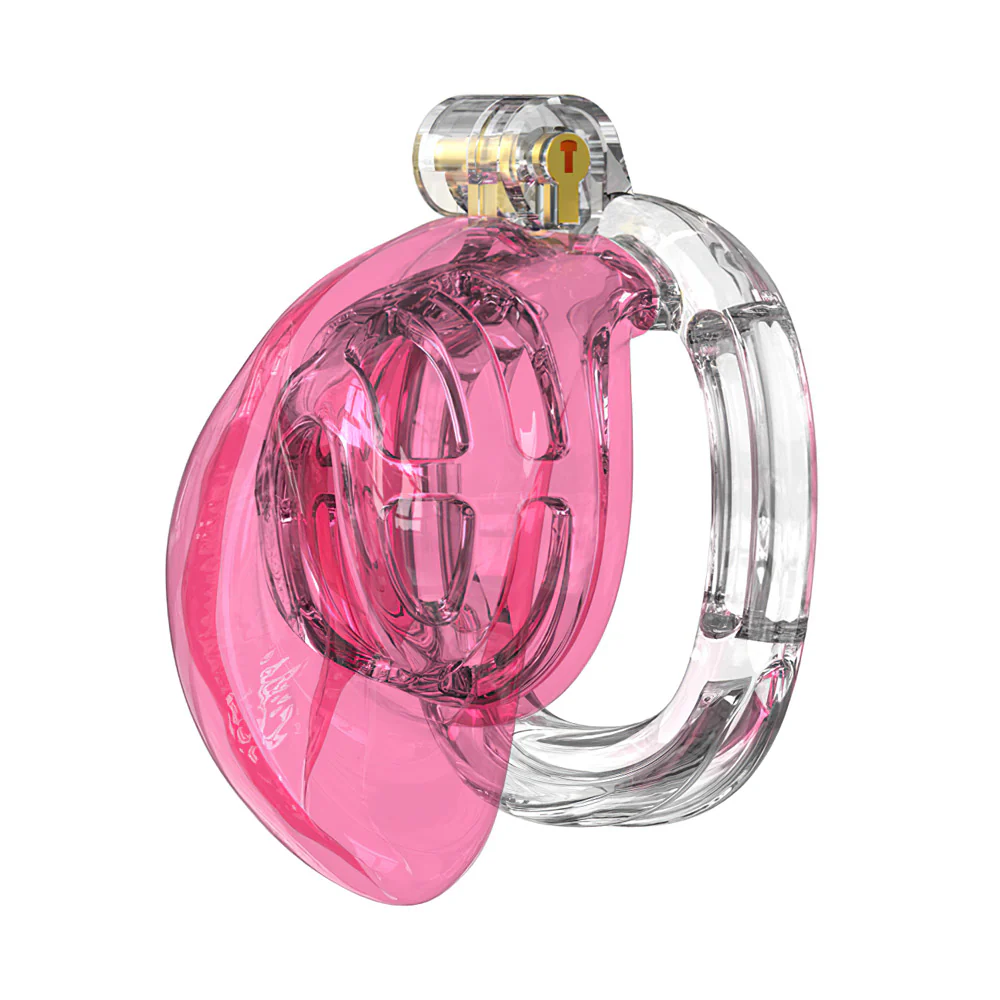 Sissies in Chastity Bondage - Image 2