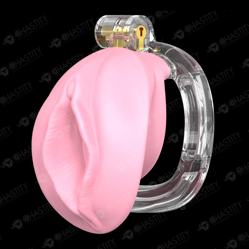 Sissies in Chastity Bondage - Image 4