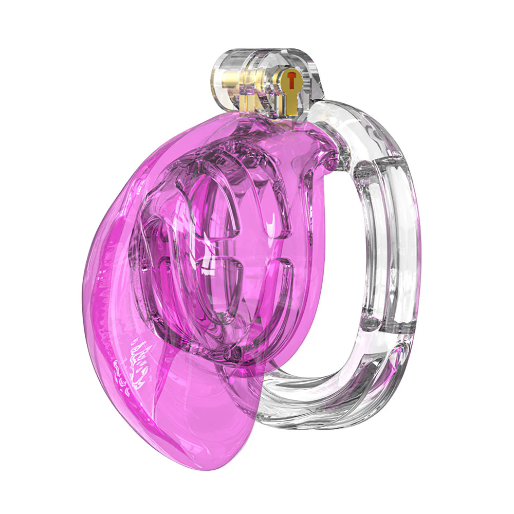 Sissies in Chastity Bondage - Image 5