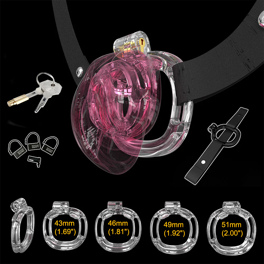 Sissies in Chastity Bondage - Image 7
