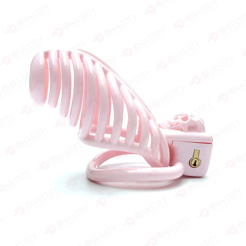 The King of Hell Skeleton Chastity Cage - Image 7