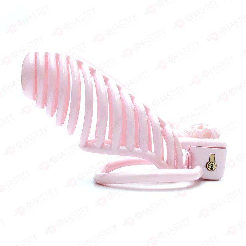 The King of Hell Skeleton Chastity Cage - Image 9