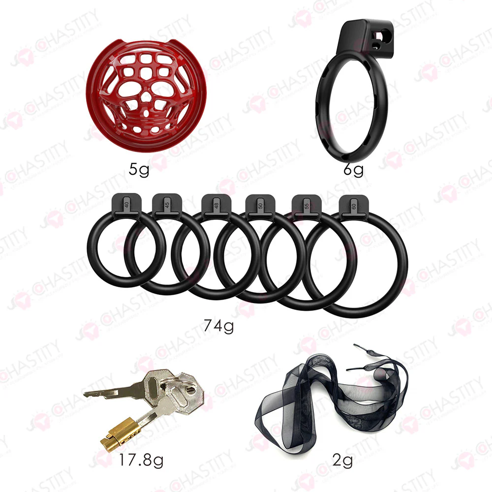 Skull Chastity Dungeon With 6 Rings - Image 6