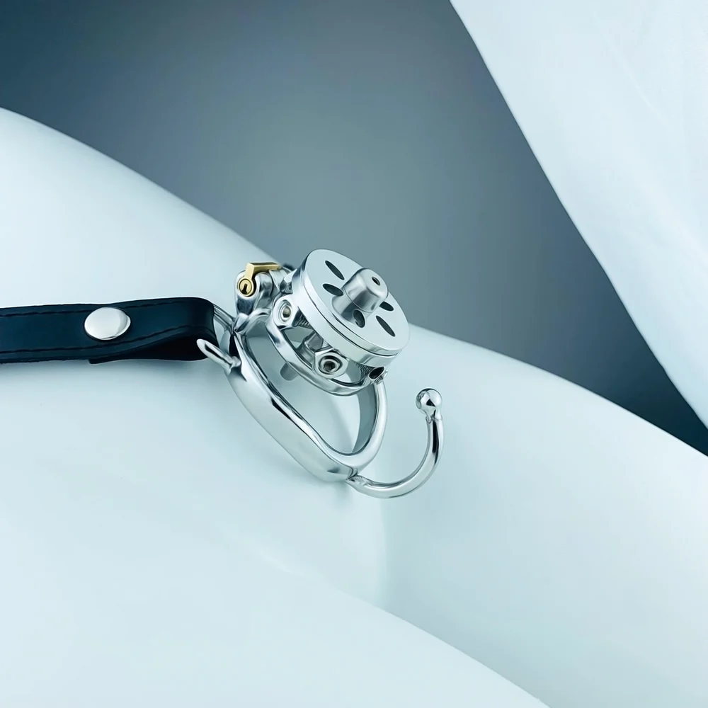 Slave Chastity Cage - Image 12