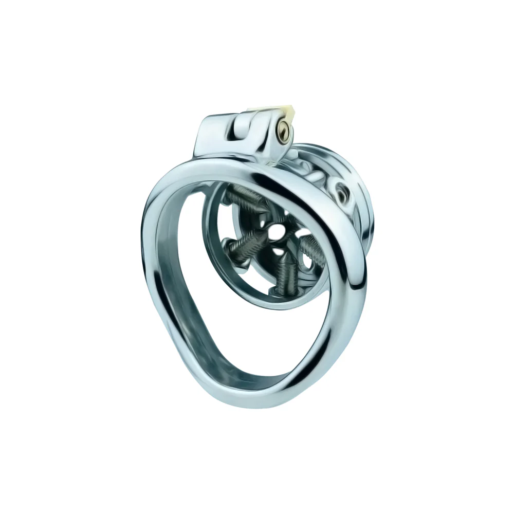 Slave Chastity Cage - Image 5