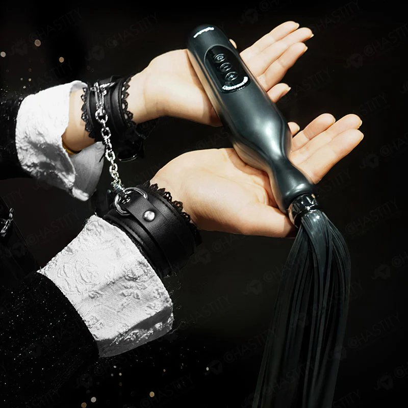 SM Electric Whip - Image 3