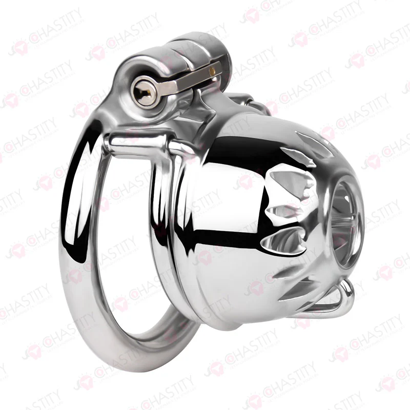 Small Stainless Steel PA Cock Cage - Image 5