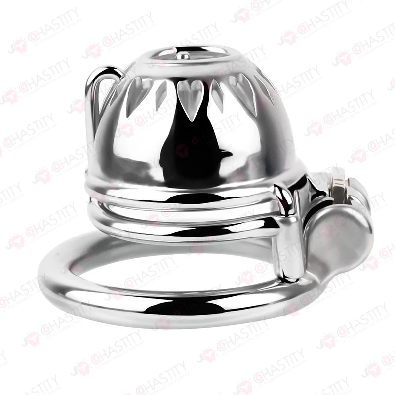 Small Stainless Steel PA Cock Cage - Image 6
