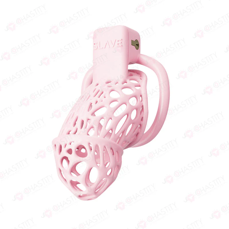 Spider Chastity Cage For Husband Slave Play - Image 2