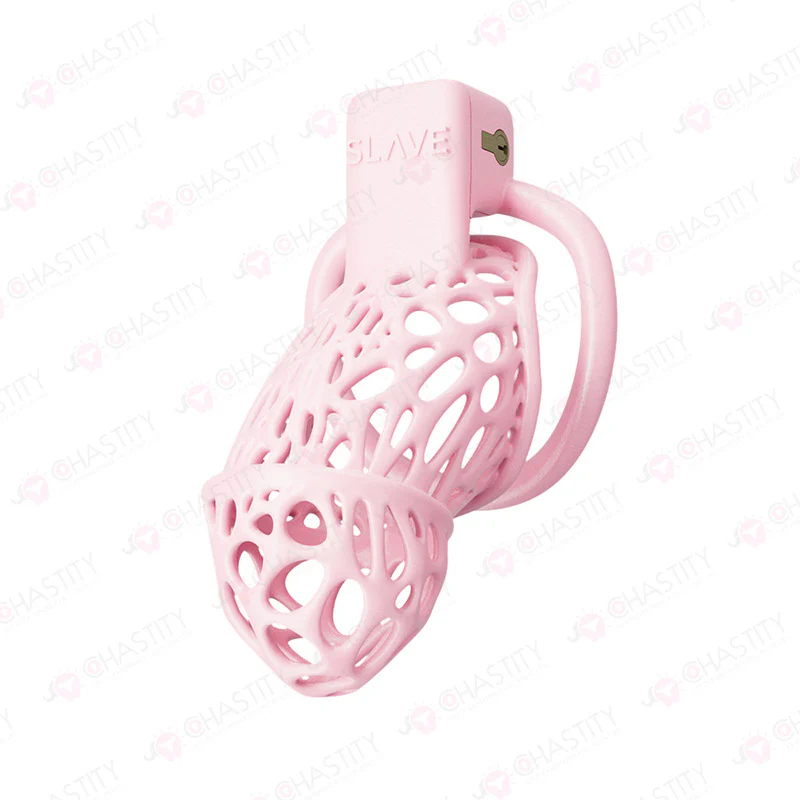 Spider Chastity Cage For Husband Slave Play - Image 3