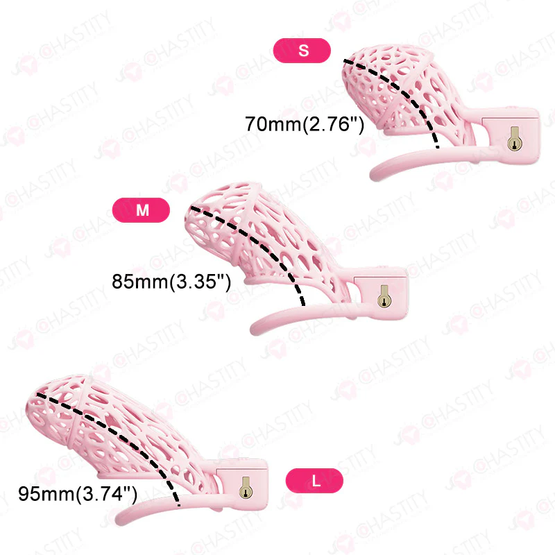 Spider Chastity Cage For Husband Slave Play - Image 4