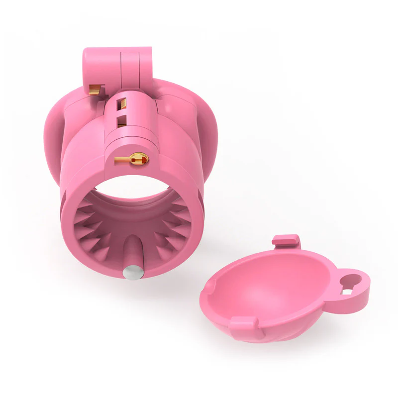 Spiked Chamber Chastity Cage - Image 7