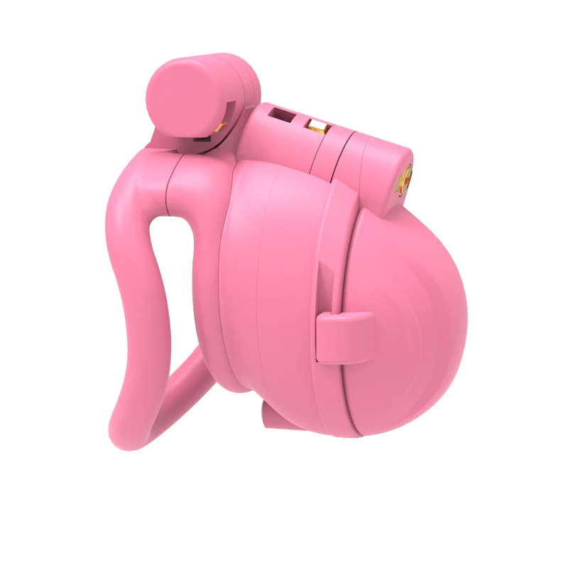 Spiked Chamber Chastity Cage - Image 9