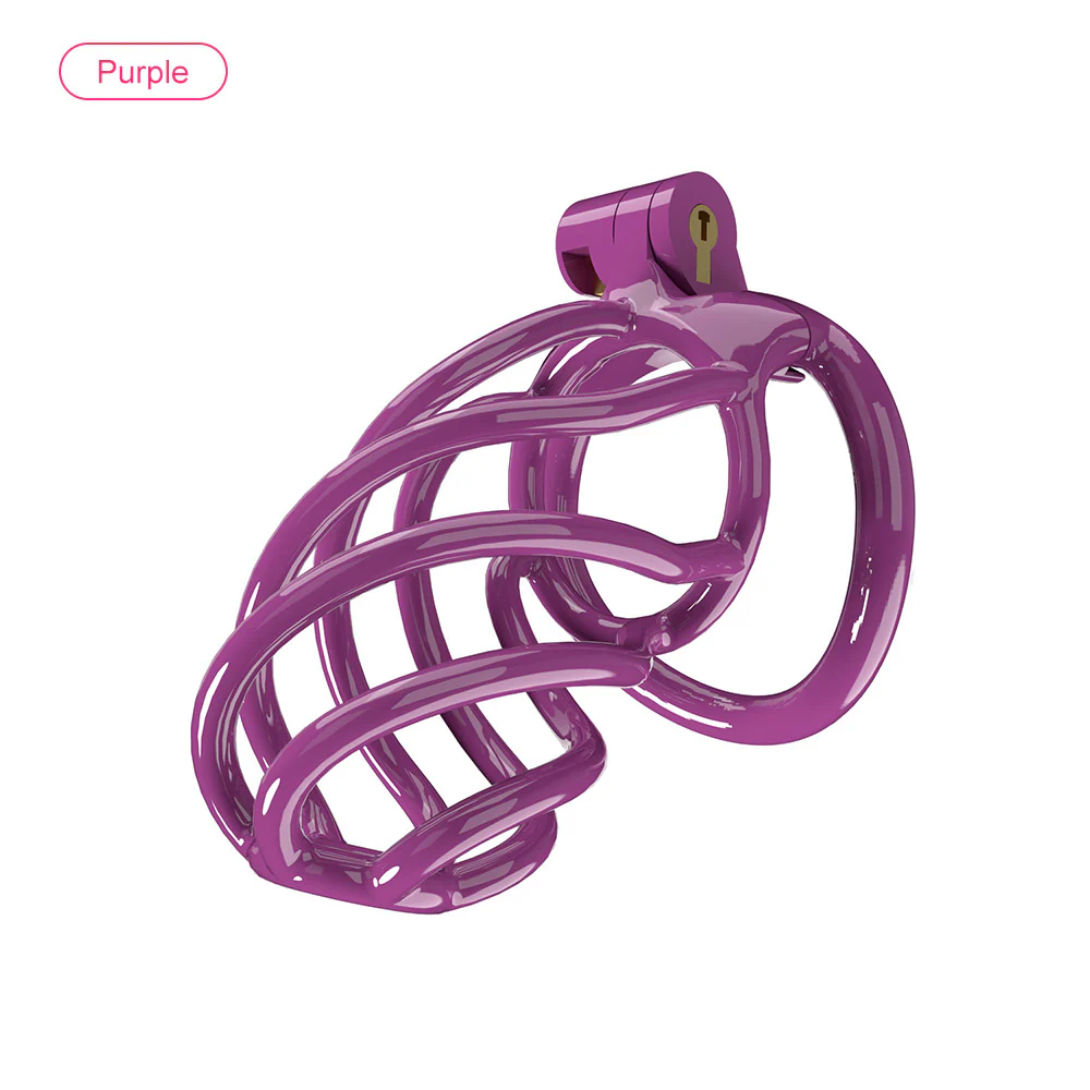 Spiral Chastity Device - Image 12