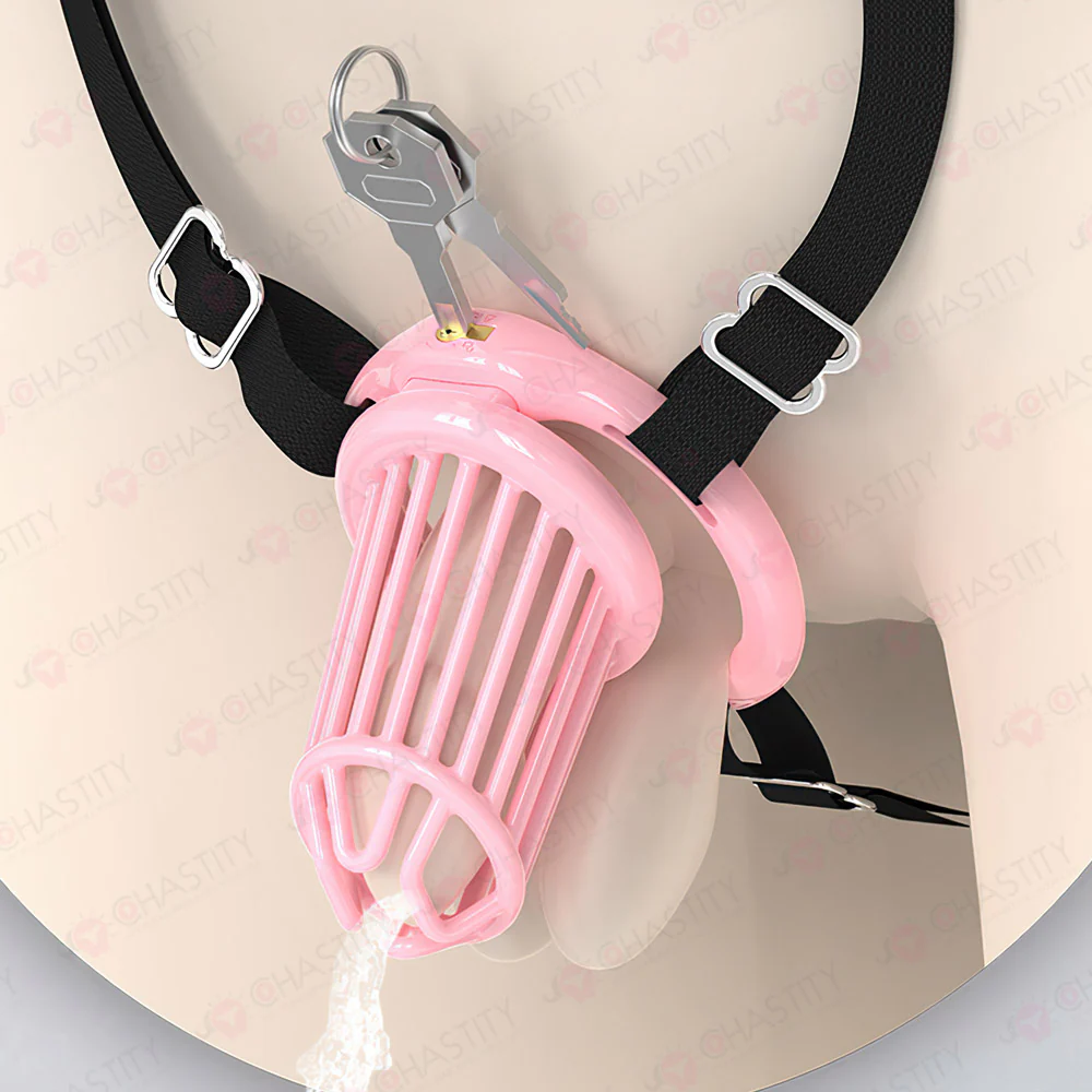 Straight JailBird Chastity Cage - Image 13