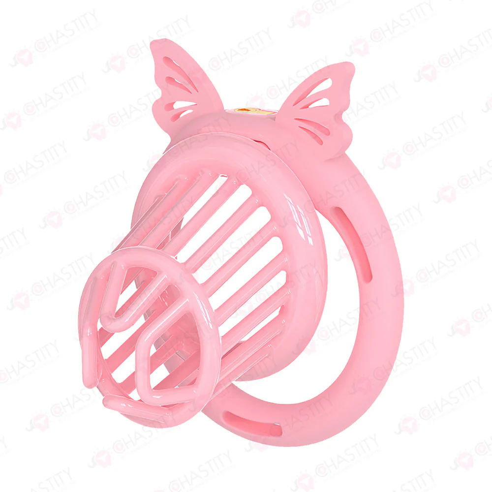 Straight JailBird Chastity Cage - Image 2