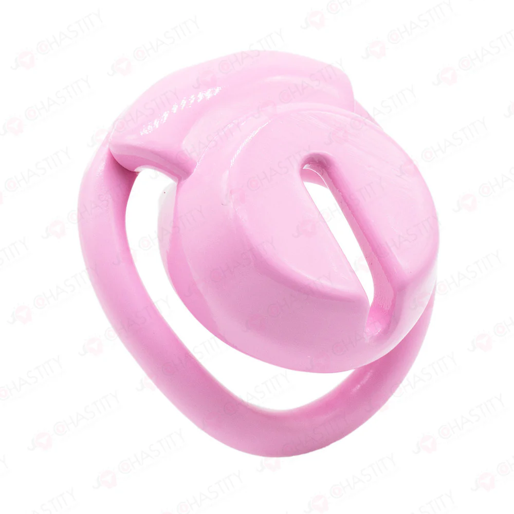 Submissive Life In Chastity - Image 2