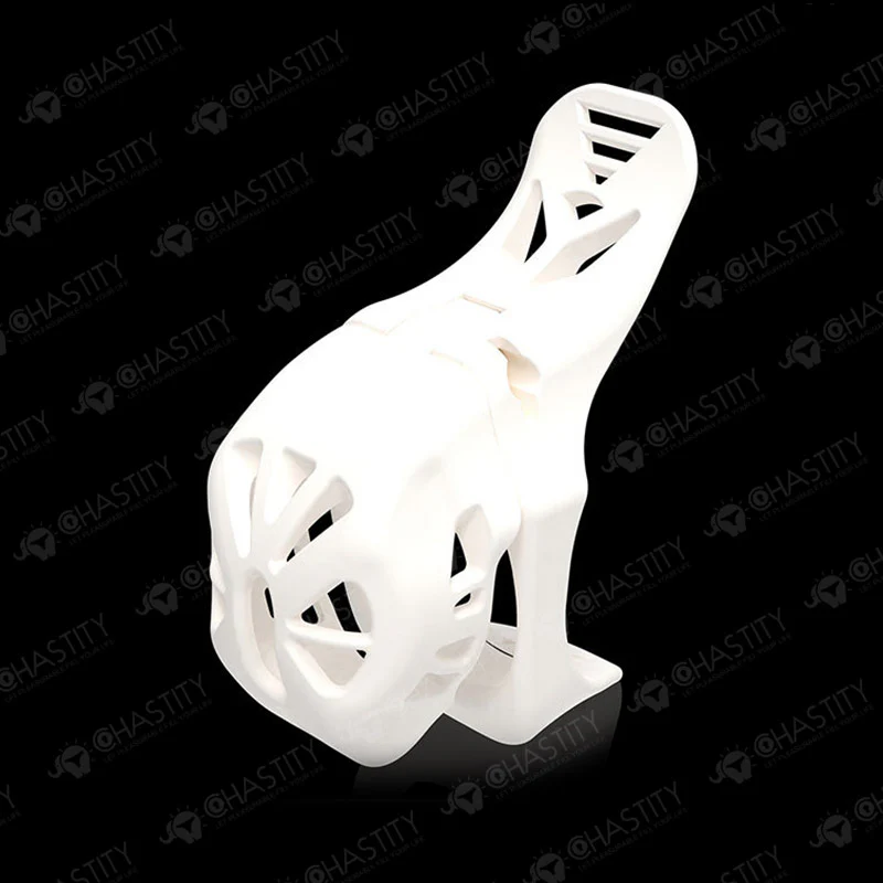 Swallowtail Cock Locker - Image 11