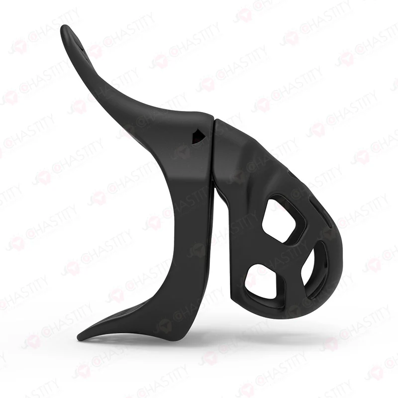 Swallowtail Cock Locker - Image 6