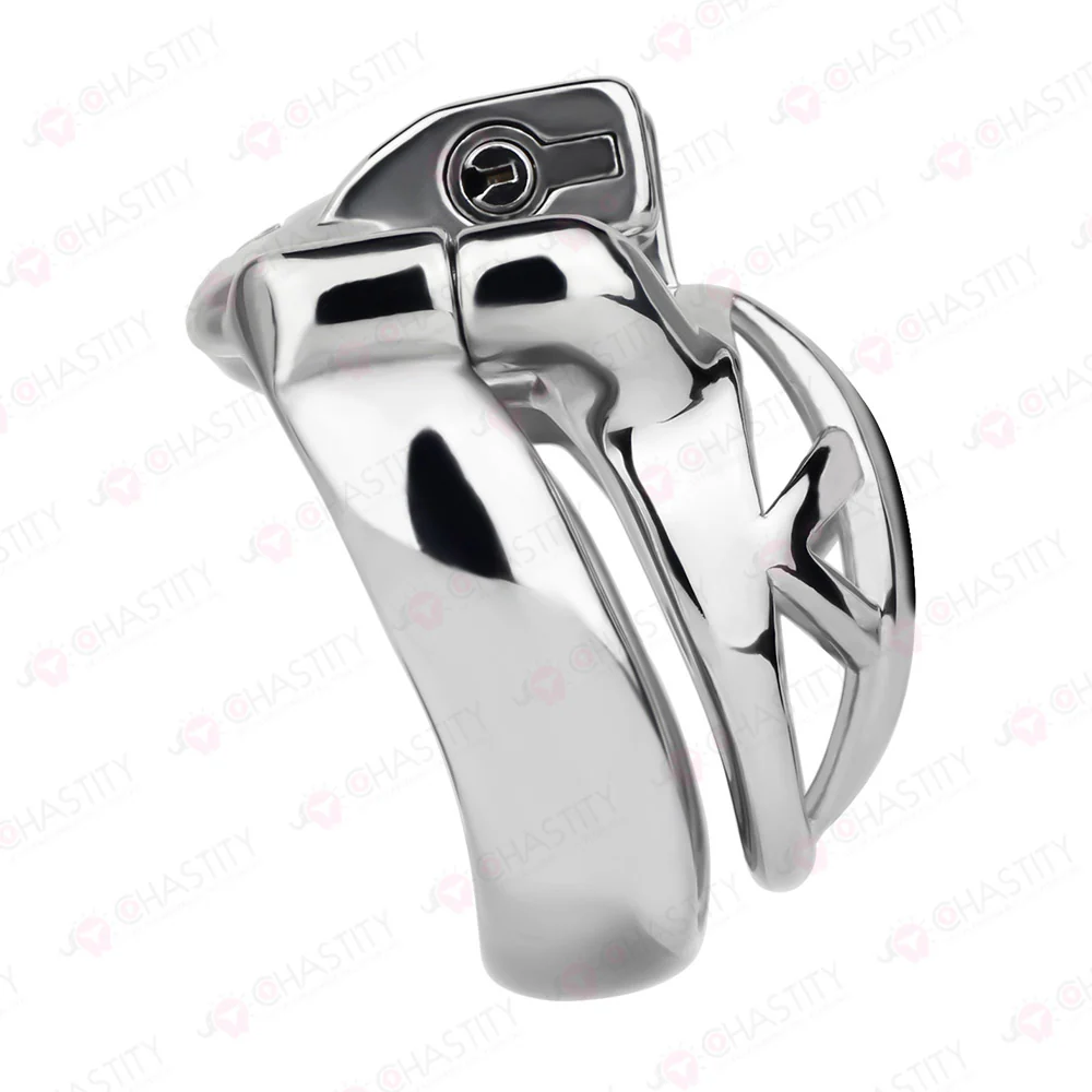 The Guardian Chastity Cage - Image 10