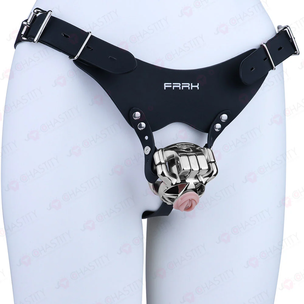 The Guardian Chastity Cage - Image 11