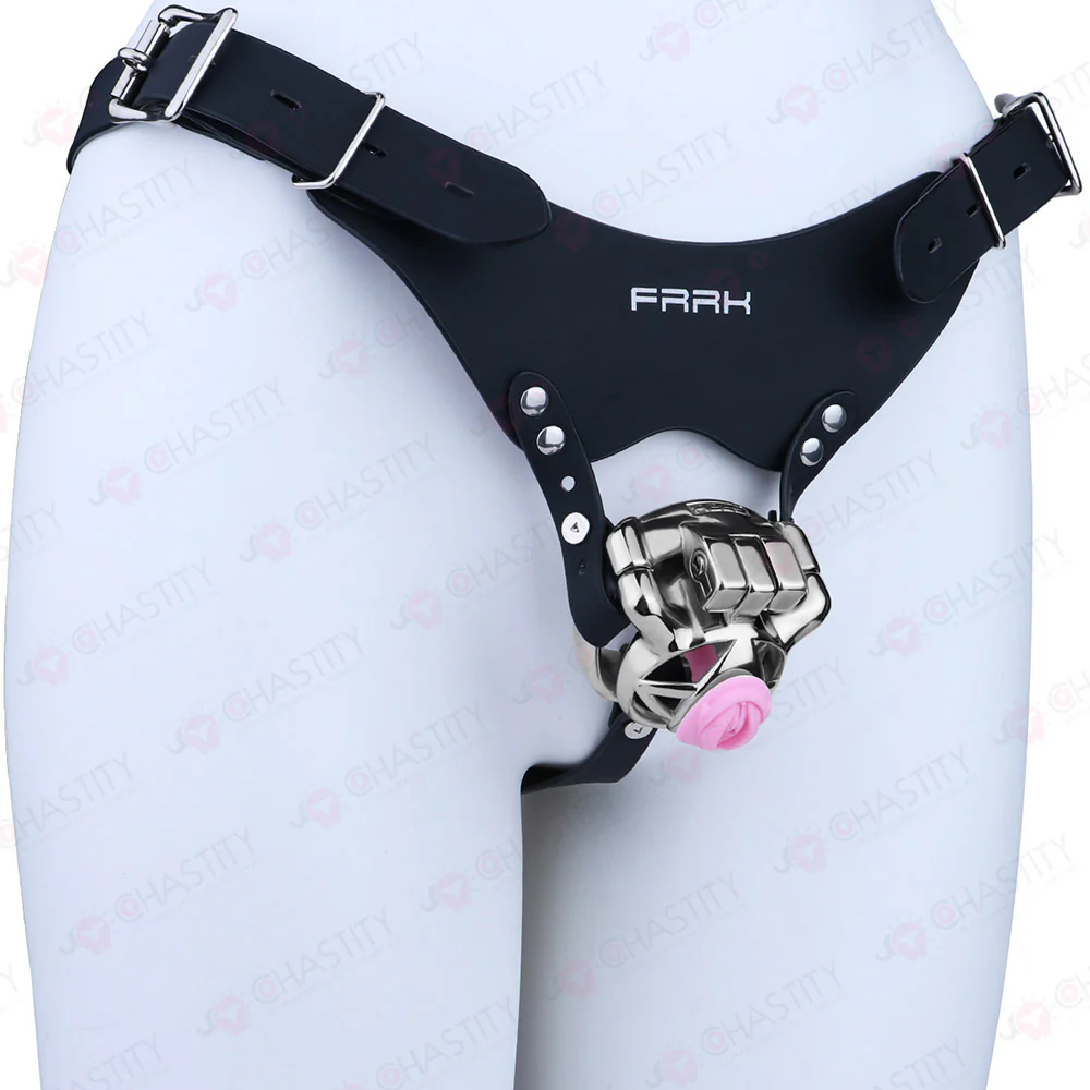The Guardian Chastity Cage - Image 12