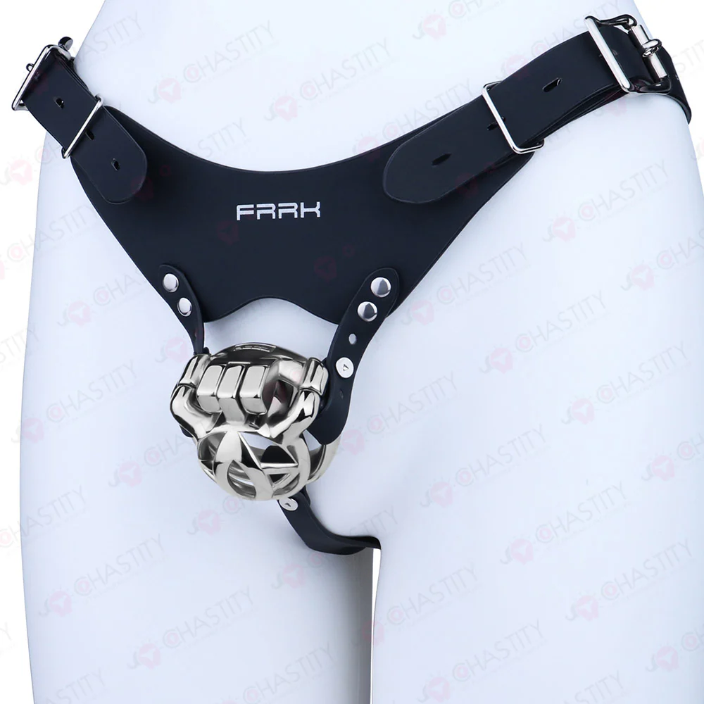 The Guardian Chastity Cage - Image 14