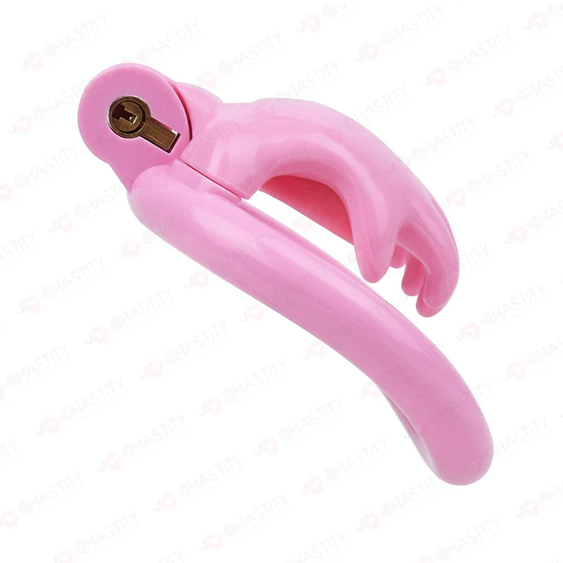 The Hand of Desire Holding Chastity - Image 5