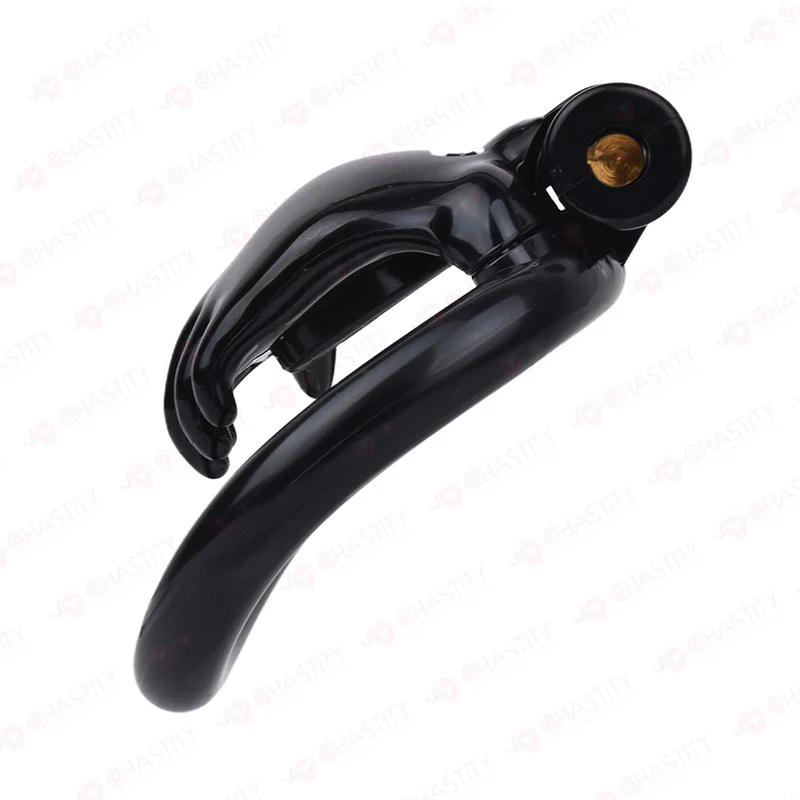 The Hand of Desire Holding Chastity - Image 8