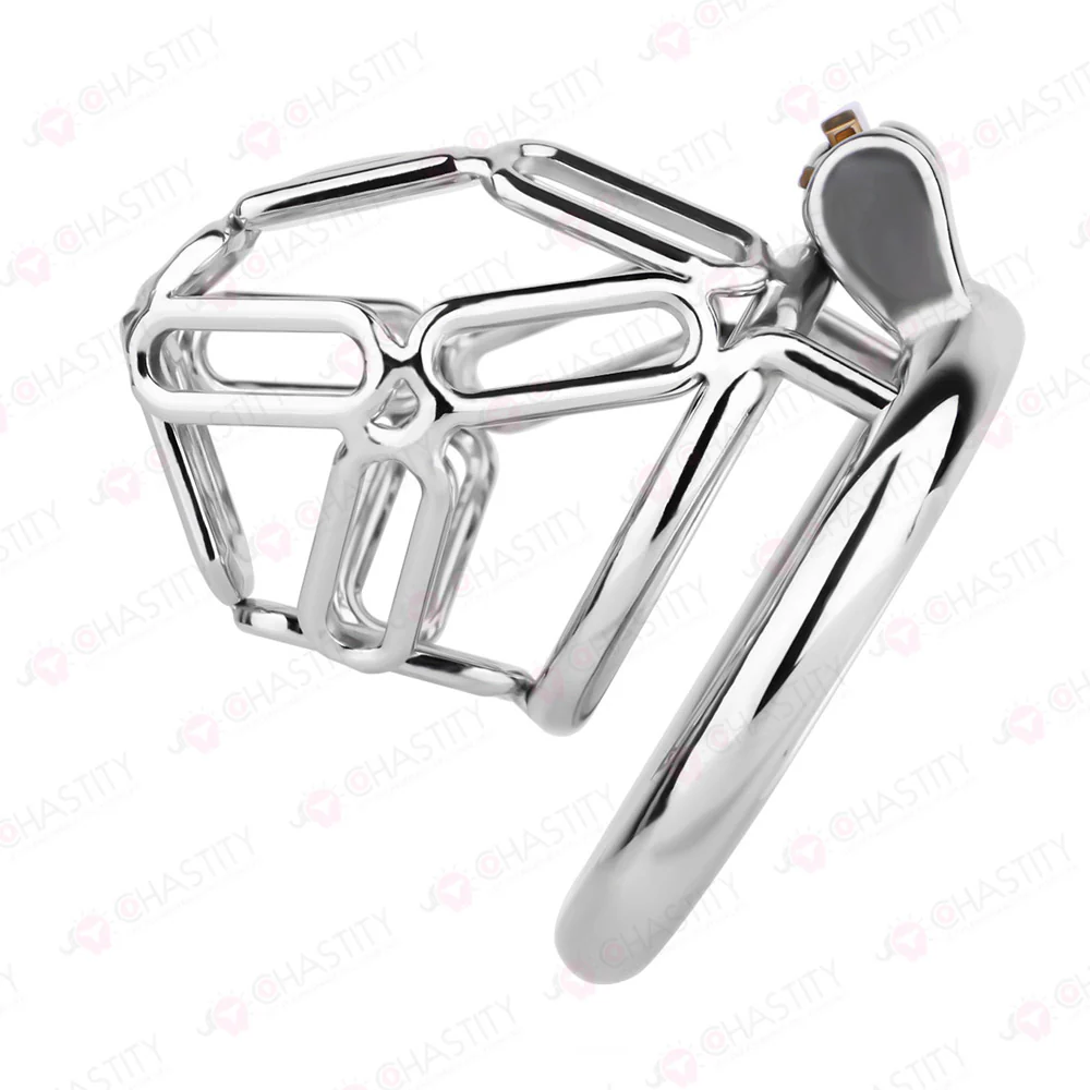 The Metal Gate of the Chastity Fantasy - Image 10