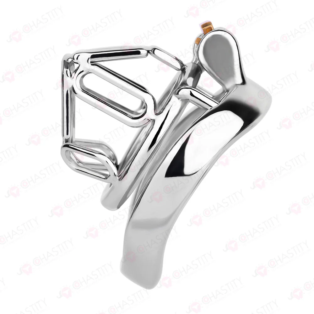 The Metal Gate of the Chastity Fantasy - Image 11