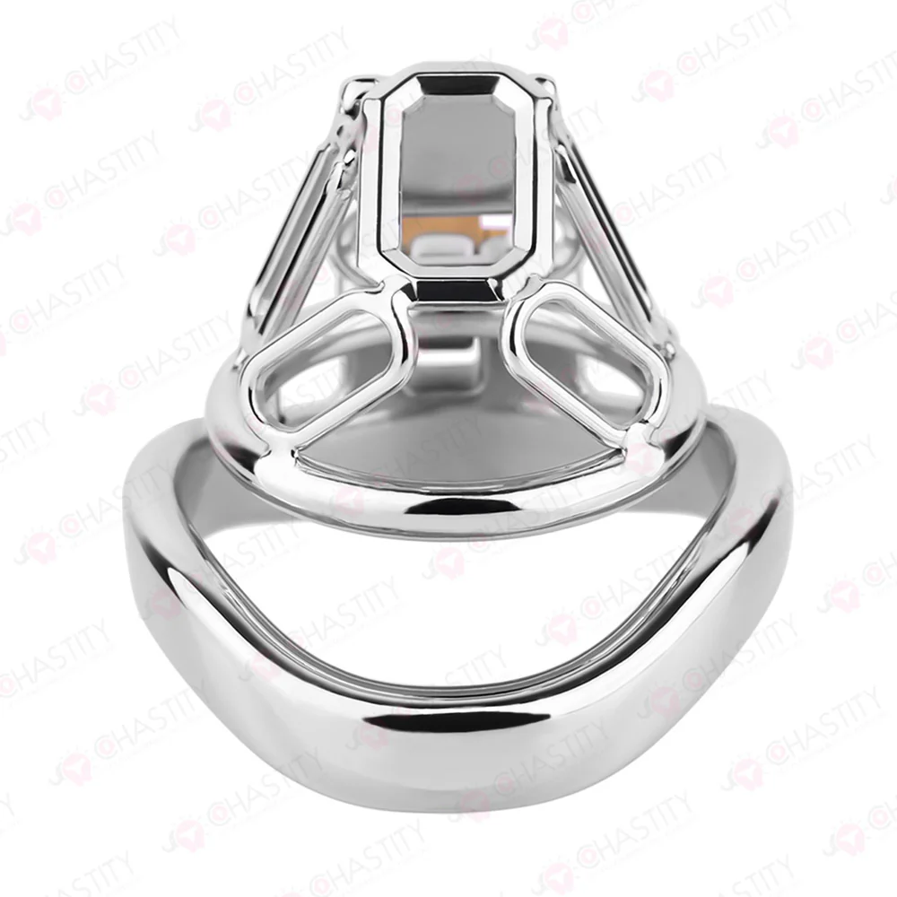 The Metal Gate of the Chastity Fantasy - Image 12