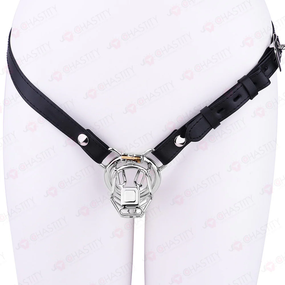 The Metal Gate of the Chastity Fantasy - Image 14