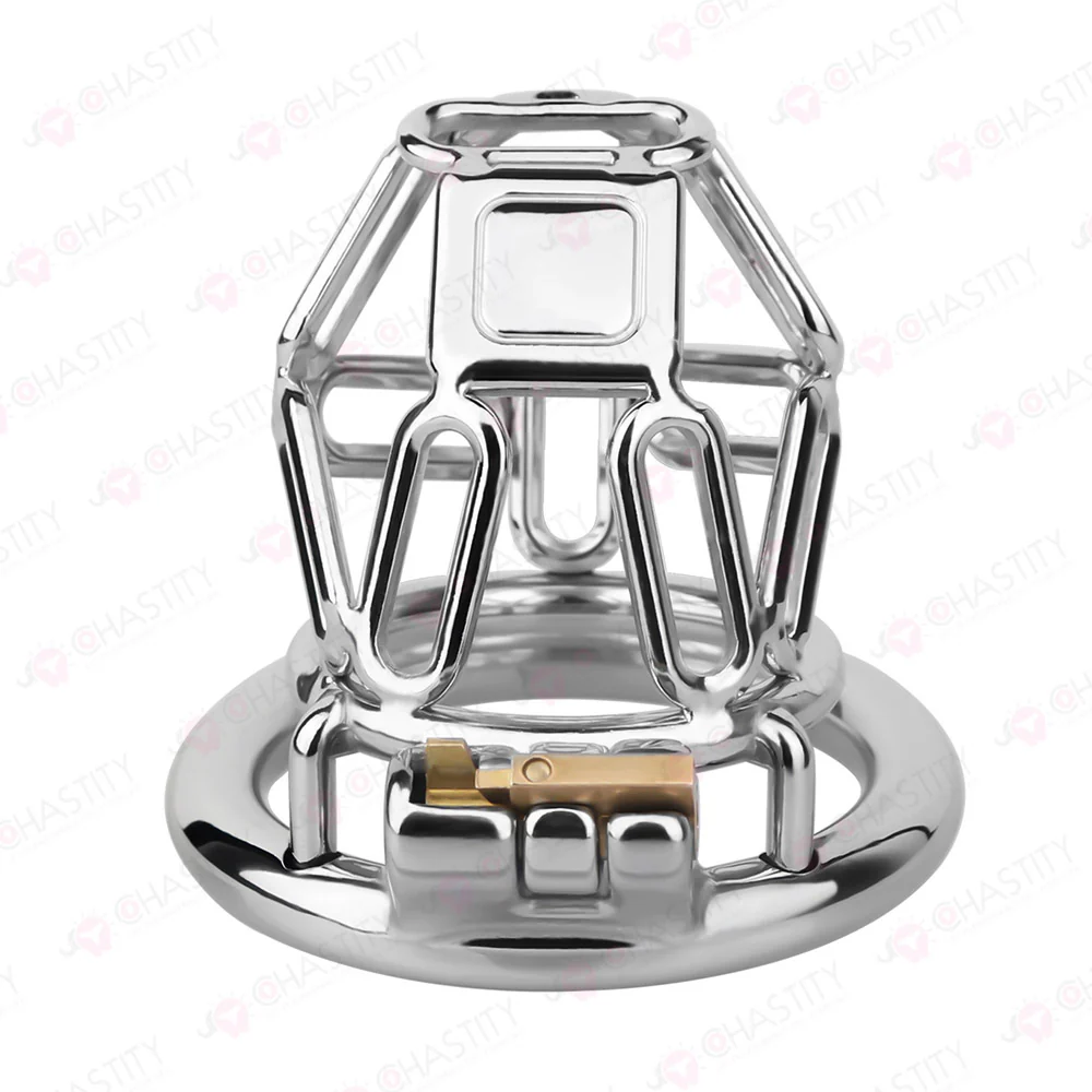 The Metal Gate of the Chastity Fantasy - Image 2