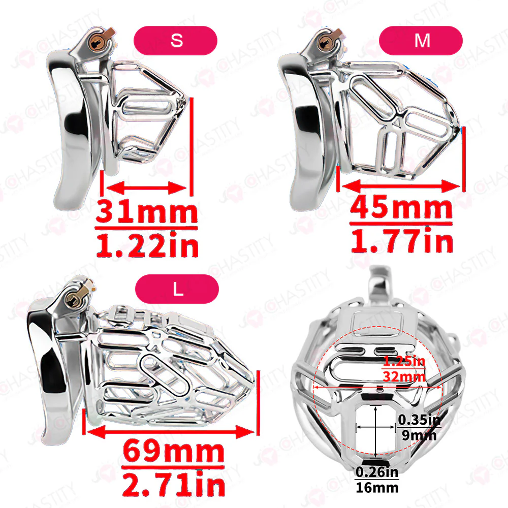 The Metal Gate of the Chastity Fantasy - Image 3