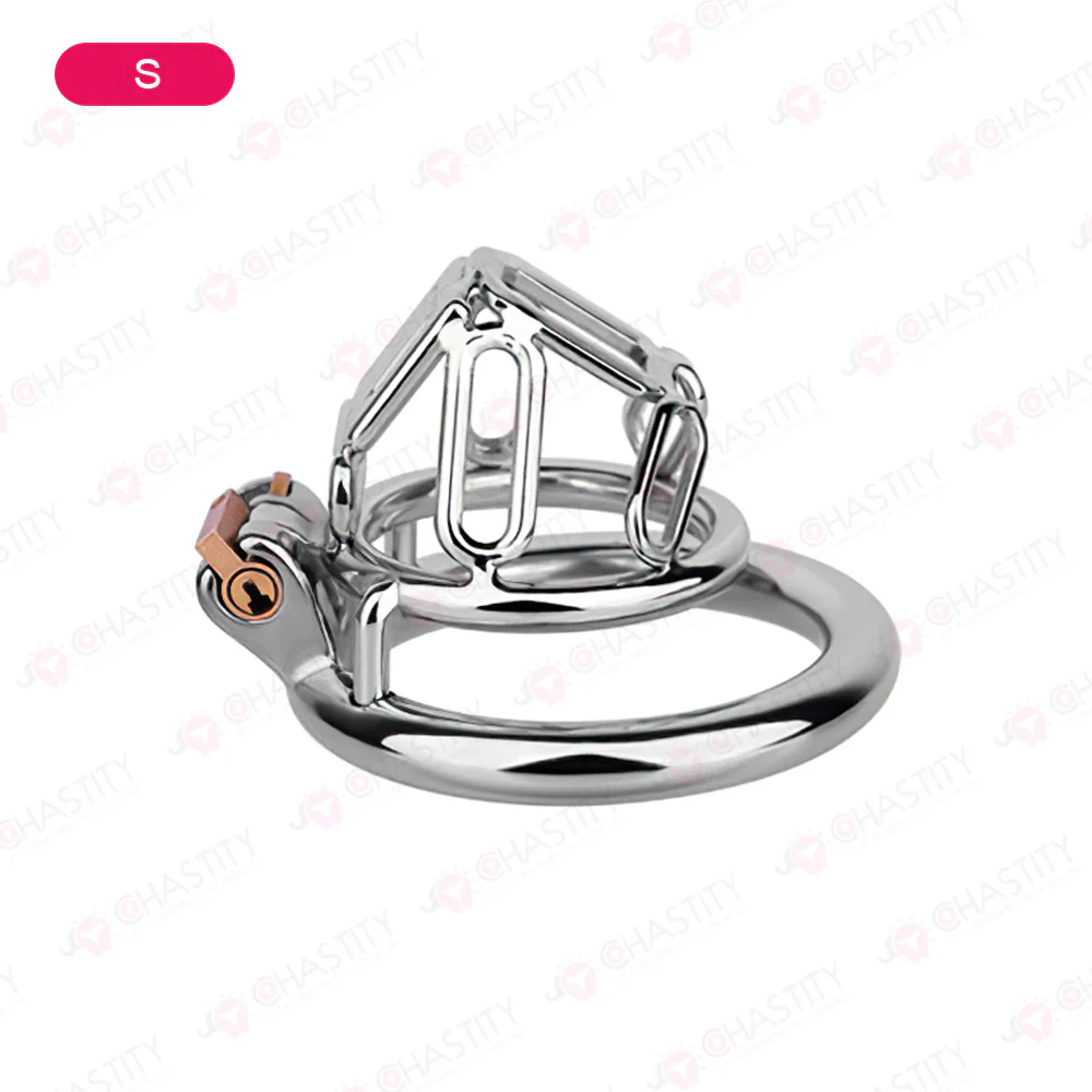 The Metal Gate of the Chastity Fantasy - Image 5