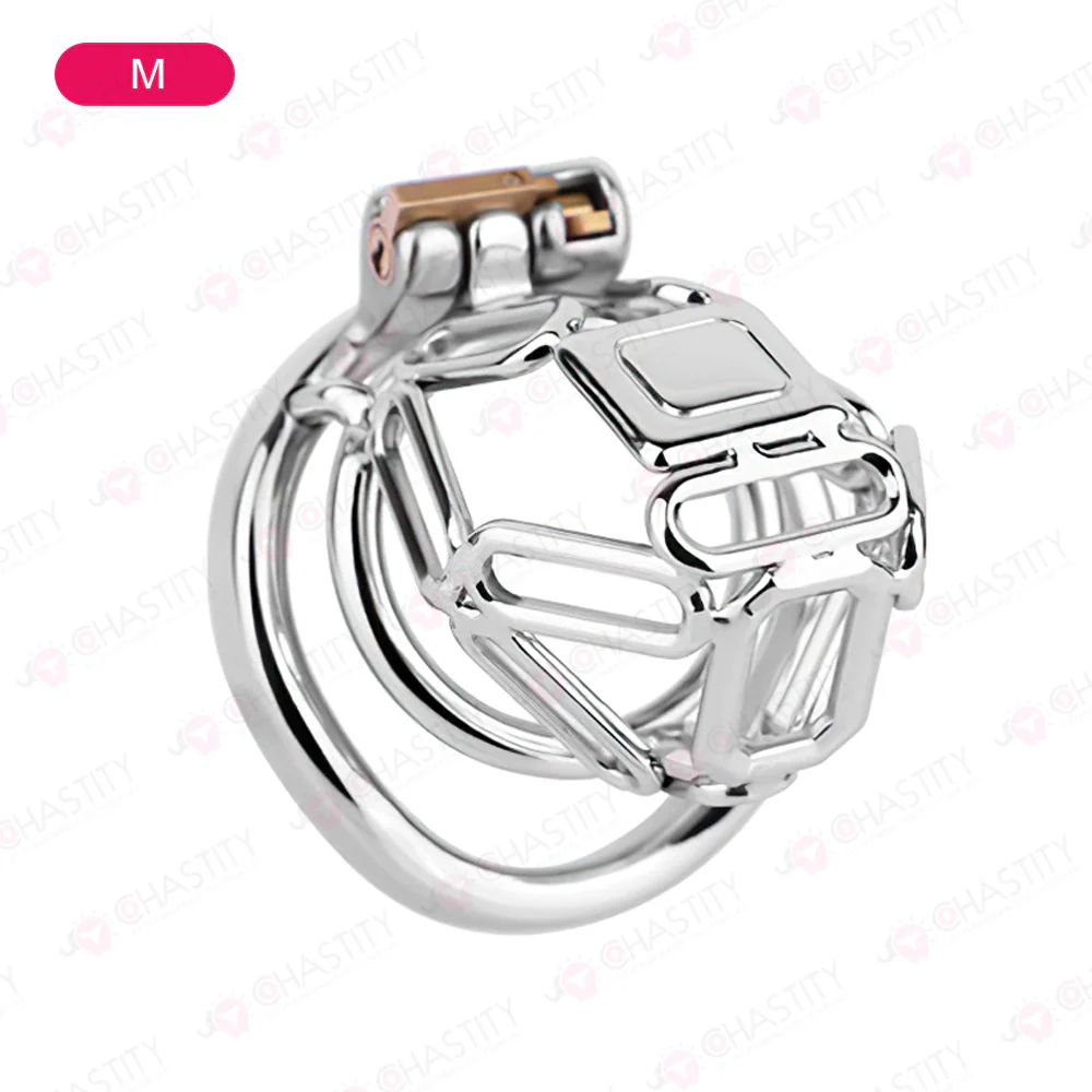 The Metal Gate of the Chastity Fantasy - Image 6