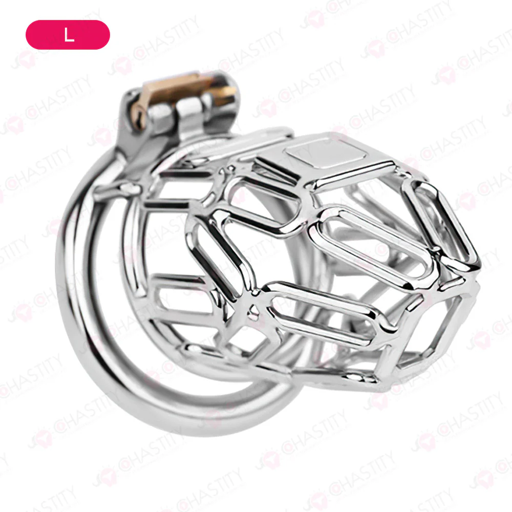 The Metal Gate of the Chastity Fantasy - Image 7