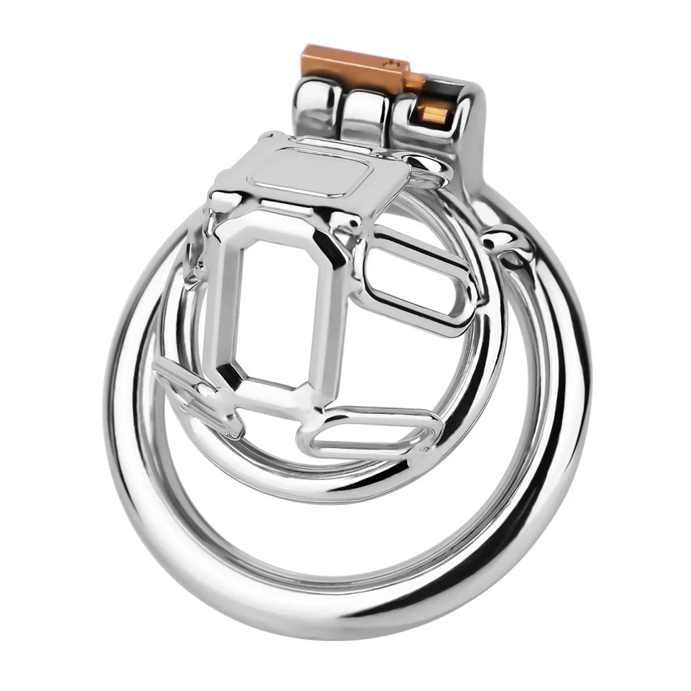 The Metal Gate of the Chastity Fantasy - Image 8