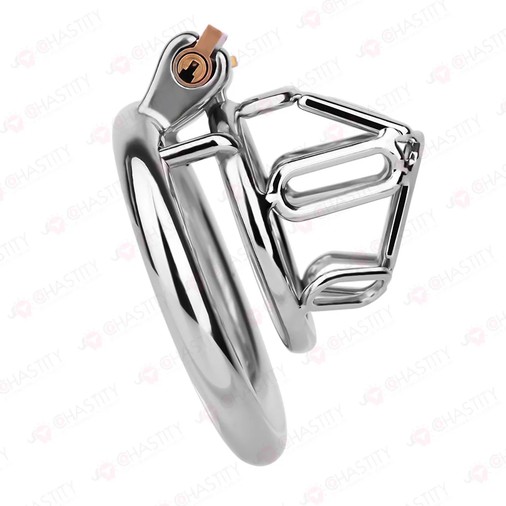The Metal Gate of the Chastity Fantasy - Image 9