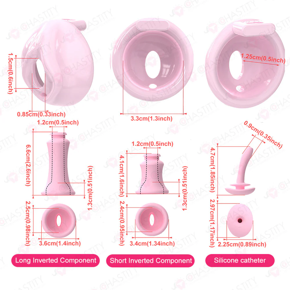 Tiny Penis Sissy Sweet Chastity - Image 4
