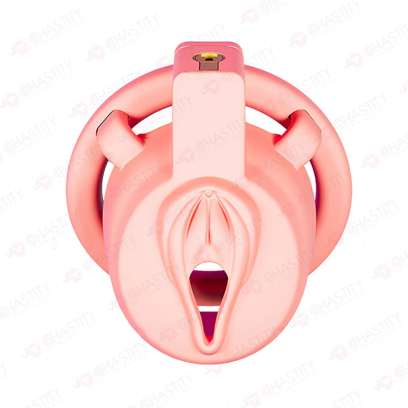 Trans Girl Chastity - Image 5