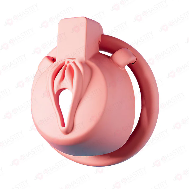 Trans Girl Chastity - Image 7