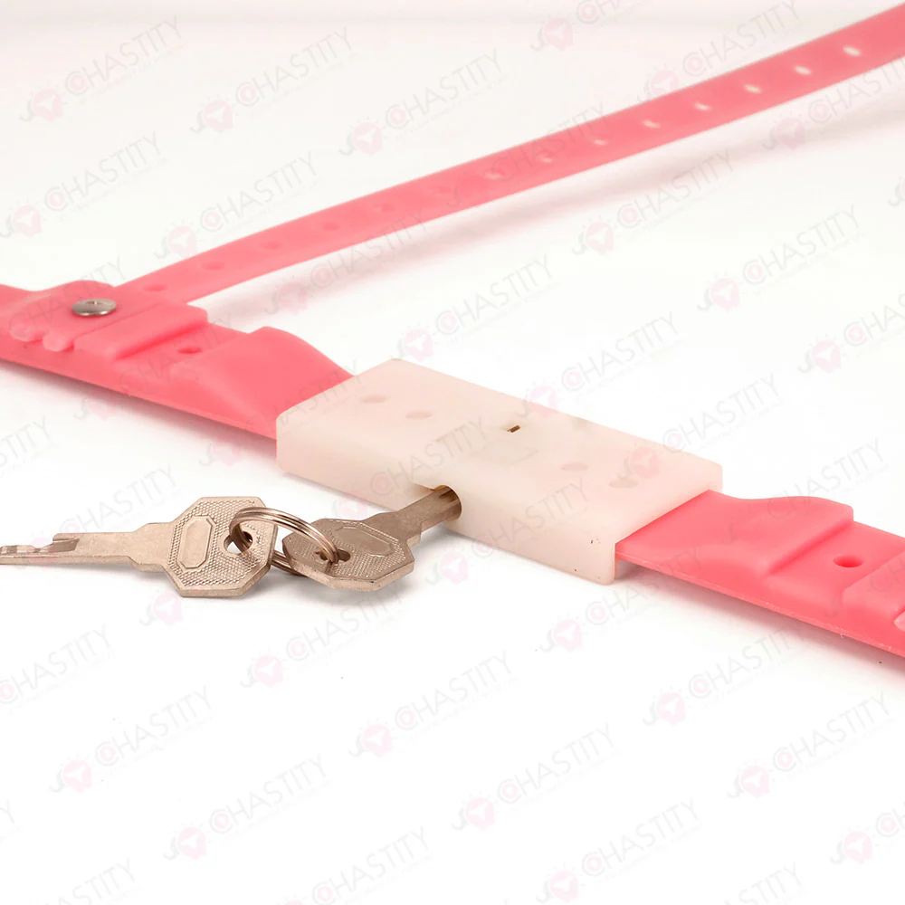 Transexual Cheap Chastity Belt - Image 9
