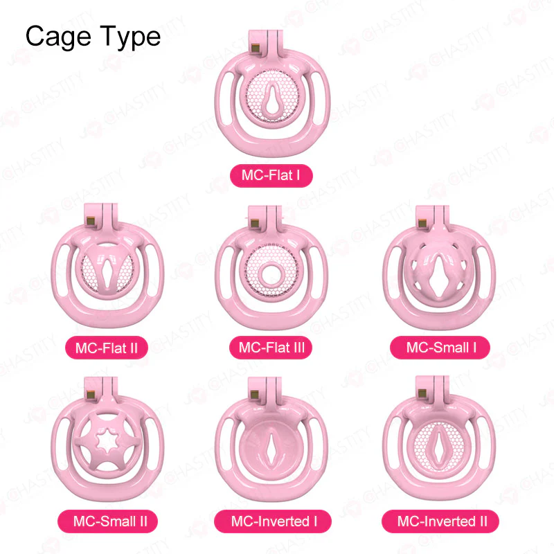 Sissy BDSM With Wearable Chastity Cage - Image 3