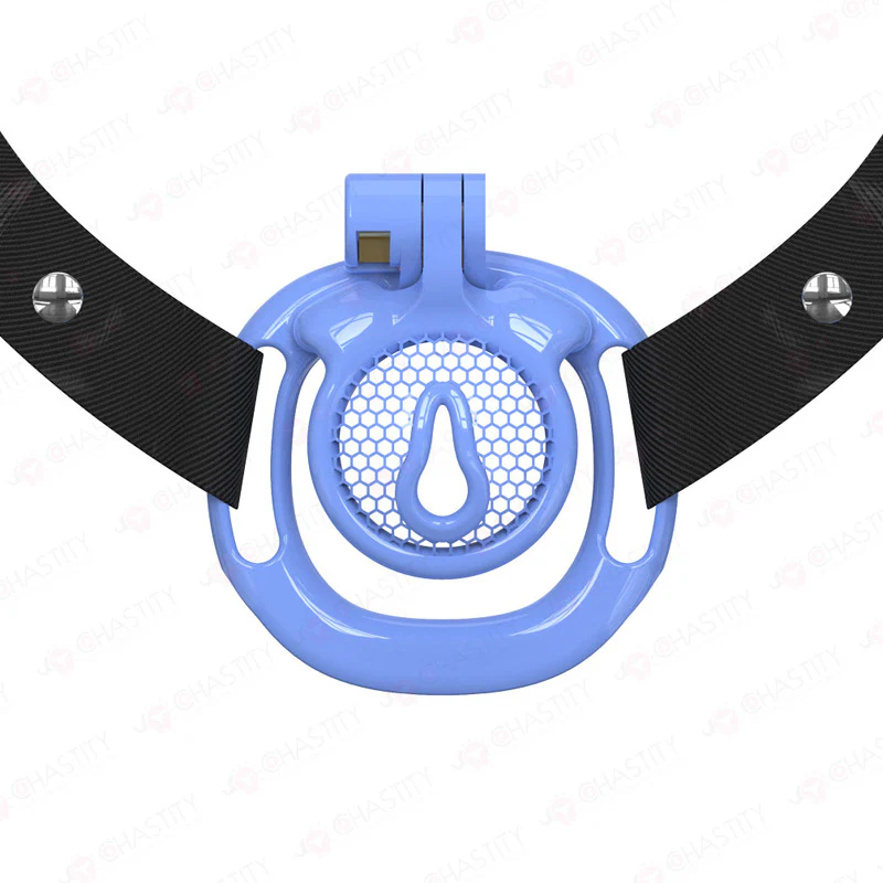 Sissy BDSM With Wearable Chastity Cage - Image 7